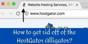 Get rid off from Hostgator Alligator
