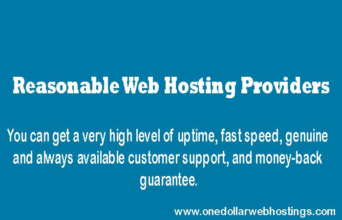 Reasonable-Web-Hosting-Providers